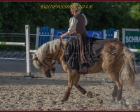 2-13JUIN 0301
